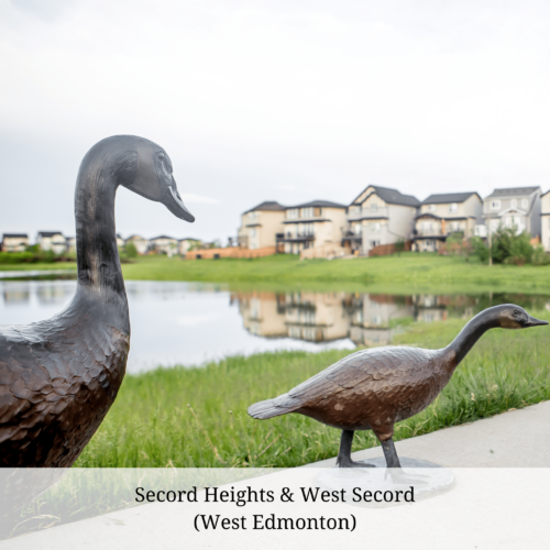 Architectural details in the Secord community include metal ducks by the pond