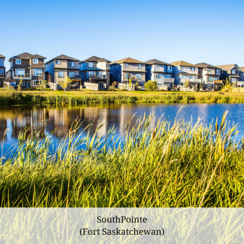 Vivid colours of a bright blue sky, bright green grass beside a pond, and the rear elevation of homes backing onto the pond